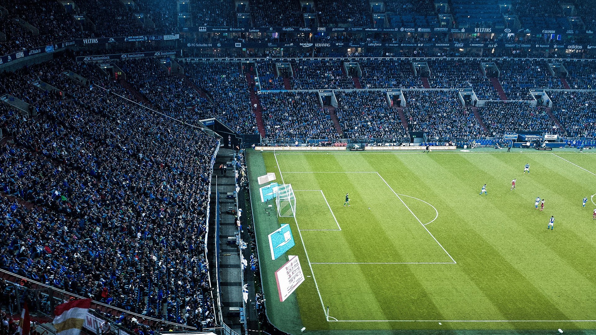 社区“防近视户外一小时”儿童户外活动认证赛